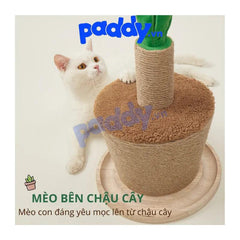 Trụ Cào Móng Mèo FOFOS Hình Chậu Cây - Paddy Pet Shop