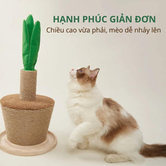 Trụ Cào Móng Mèo FOFOS Hình Chậu Cây - Paddy Pet Shop