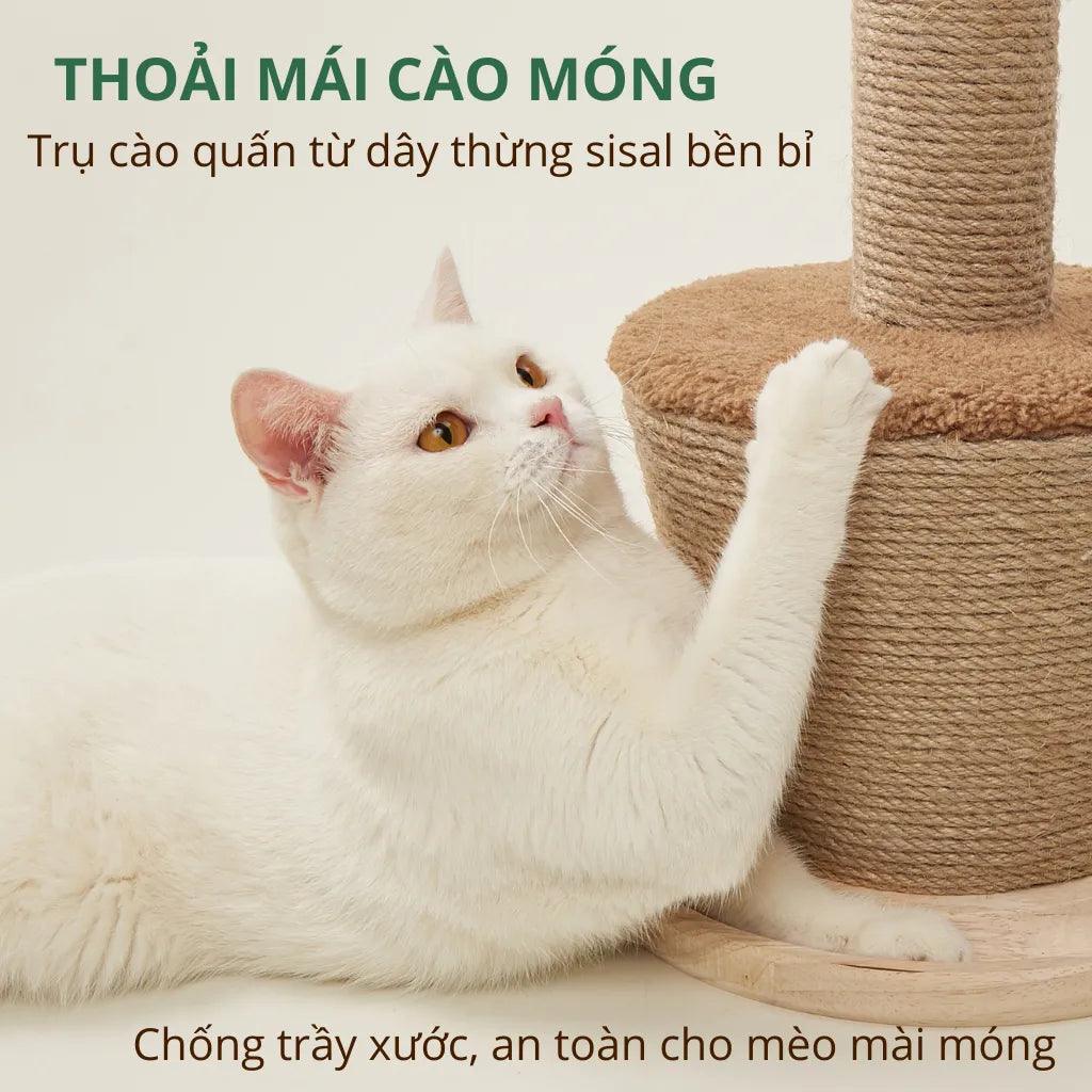 Trụ Cào Móng Mèo FOFOS Hình Chậu Cây - Paddy Pet Shop