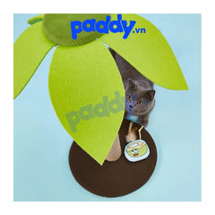 Trụ Cào Móng Mèo FOFOS Hình Trụ Cây Dừa Đơn - Paddy Pet Shop