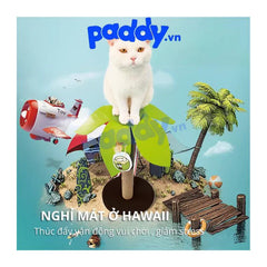Trụ Cào Móng Mèo FOFOS Hình Trụ Cây Dừa Đơn - Paddy Pet Shop