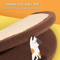 Trụ Cào Móng Mèo FOFOS Hình Trụ Cây Dừa Đơn - Paddy Pet Shop