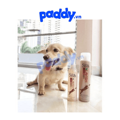 Xịt Dưỡng Lông Cho Chó Mèo SPA Tropiclean (Nhập khẩu Mỹ) - Paddy Pet Shop