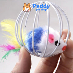 Banh Lồng Chuột Đồ Chơi Cho Mèo - Paddy Pet Shop