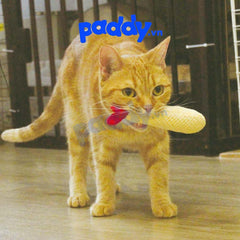 Đồ Chơi Mèo Cattyman Thú Bông Lưới Gặm Sạch Răng - Paddy Pet Shop