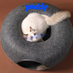 Ổ Donut Tròn Đồ Chơi Đuổi Bắt Cho Mèo - Paddy Pet Shop