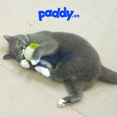 Đồ Chơi Mèo Cattyman Thú Bông Lưới Gặm Sạch Răng - Paddy Pet Shop