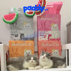 Cát Vệ Sinh Mèo AATAS Tofu Đậu Nành 6L - Paddy Pet Shop