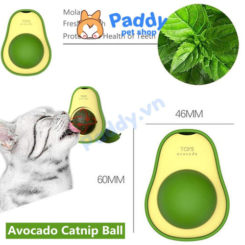 Cỏ Mèo Gắn Tường Xoay Hình Đồ Chơi Cho Mèo – Paddy Pet Shop