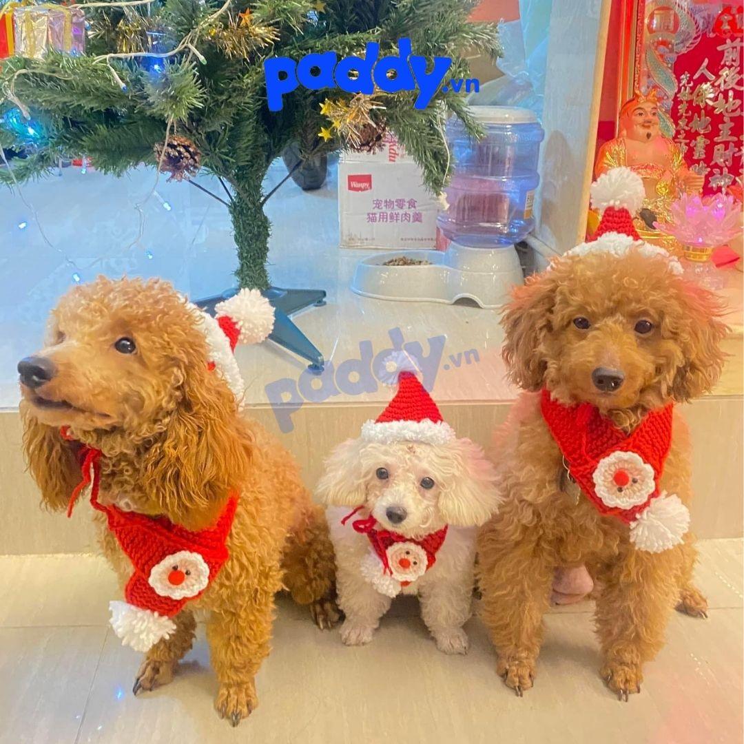 Nón Mũ Noel Giáng Sinh Cho Chó Mèo - Paddy Pet Shop