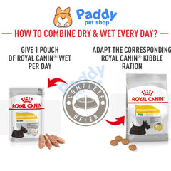Thức Ăn Hạt Cho Chó Viêm Da Royal Canin Mini Dermacomfort - Paddy Pet Shop