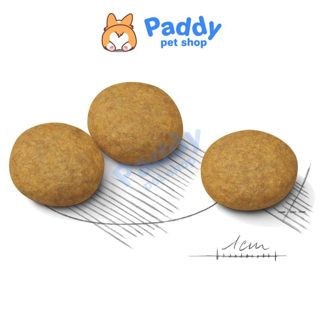 Thức Ăn Hạt Cho Chó Viêm Da Royal Canin Mini Dermacomfort - Paddy Pet Shop