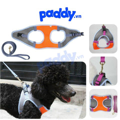 Dây Dắt Yếm Thoáng Khí Diamond Cho Chó Mèo - Paddy Pet Shop