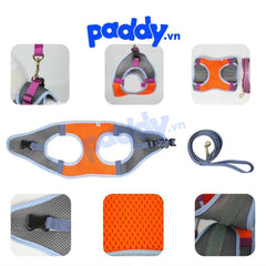 Dây Dắt Yếm Thoáng Khí Diamond Cho Chó Mèo - Paddy Pet Shop