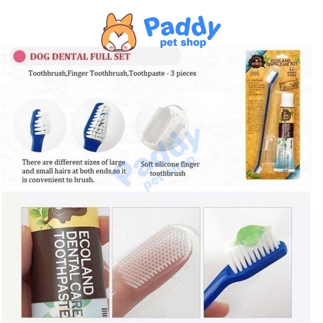 Kem Đánh Răng Chó Mèo Thảo Dược Budle 70g - Paddy Pet Shop