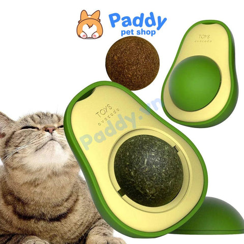 Cỏ Mèo Gắn Tường Xoay Hình Đồ Chơi Cho Mèo – Paddy Pet Shop
