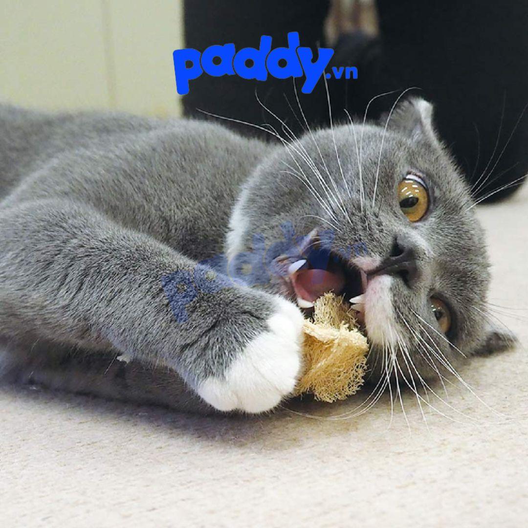 Đồ Chơi Mèo Xơ Mướp Giảm Ngứa Răng CattyMan - Paddy Pet Shop