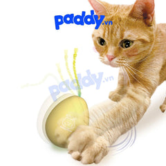 Đồ Chơi Mèo Set 4 Trứng Nhựa Cattyman - Paddy Pet Shop