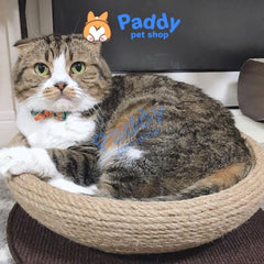 Ổ Nằm Dây Thừng Cho Mèo Cào Móng CattyMan (<6kg) - Paddy Pet Shop