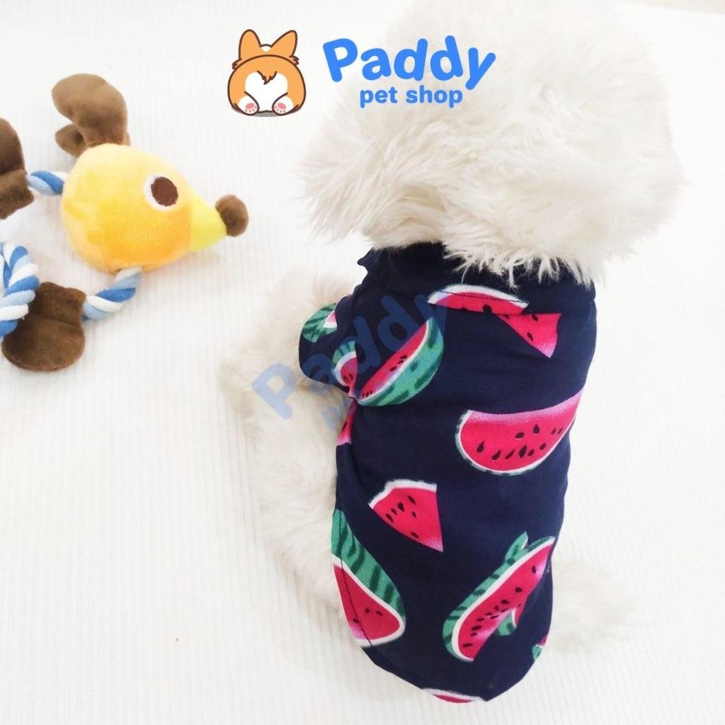 Áo Cho Chó Mèo Sơ Mi Trái Cây - Paddy Pet Shop