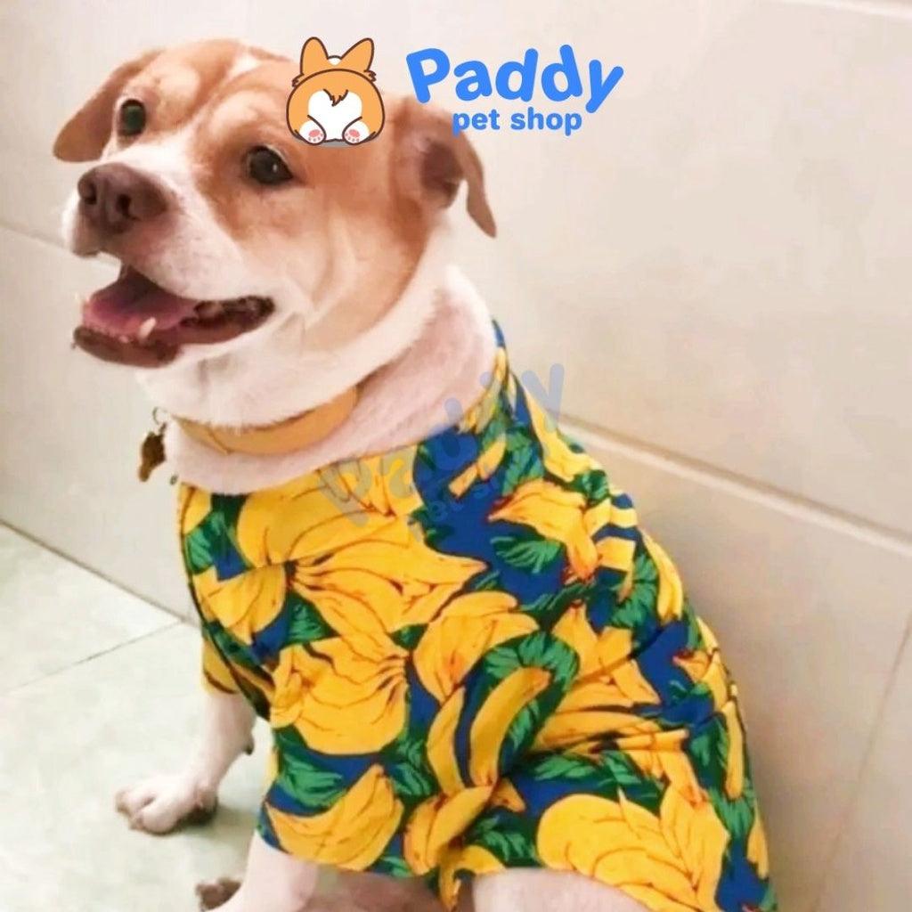 Áo Cho Chó Mèo Sơ Mi Trái Cây - Paddy Pet Shop