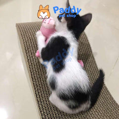 Bàn Cào Móng Giấy Cho Mèo + Tặng Cỏ Mèo - Paddy Pet Shop