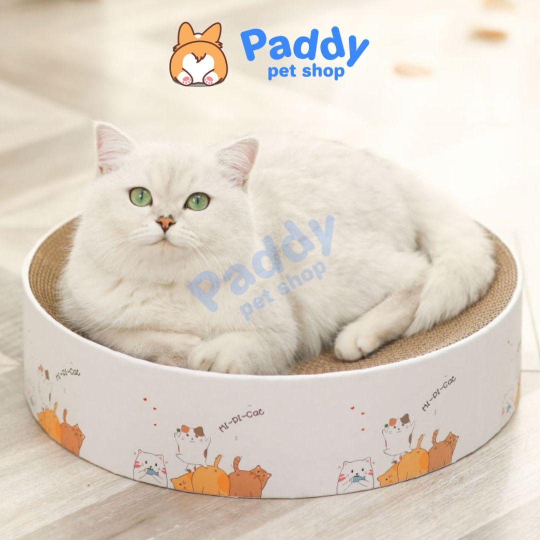 Bàn Cào Móng Giấy Ổ Nằm Tròn Cho Mèo Họa Tiết 41cm - Paddy Pet Shop