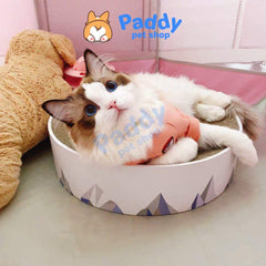 Bàn Cào Móng Giấy Ổ Nằm Tròn Cho Mèo Họa Tiết 41cm - Paddy Pet Shop