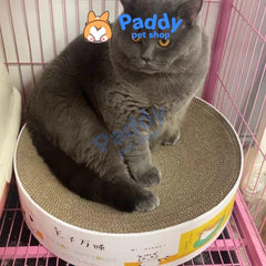 Bàn Cào Móng Giấy Ổ Nằm Tròn Cho Mèo Họa Tiết 41cm - Paddy Pet Shop