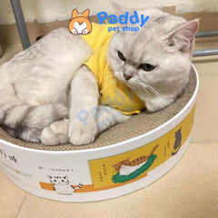 Bàn Cào Móng Giấy Ổ Nằm Tròn Cho Mèo Họa Tiết 41cm - Paddy Pet Shop