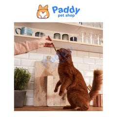 Bánh Thưởng Cho Mèo GimCat Sticks Snack (Nhập Khẩu Đức) - Paddy Pet Shop