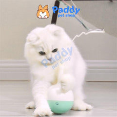 Đồ Chơi Mèo Banh Xoay Tự Động Pakeway - Paddy Pet Shop