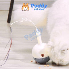 Đồ Chơi Mèo Banh Xoay Tự Động Pakeway - Paddy Pet Shop