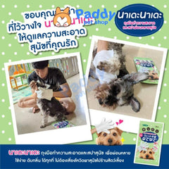 Bao Tay Khăn Ướt Nade Vệ Sinh Chó - Túi 10 Cái (Nhật Bản) - Paddy Pet Shop