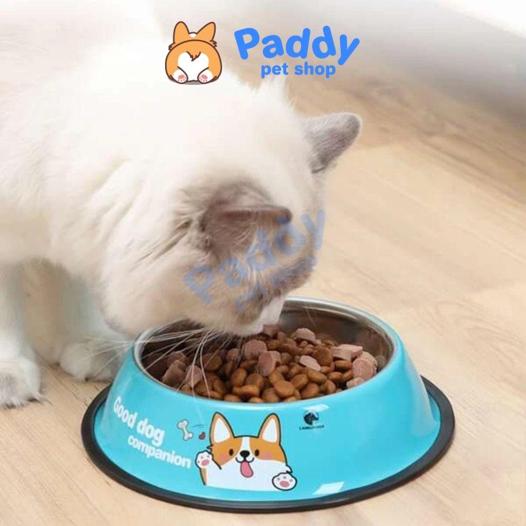 Bát Ăn Cho Chó Mèo Inox Đế Cao Su Chống Trượt Đủ Size - Paddy Pet Shop