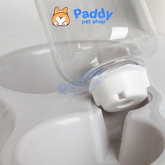 Bát Cho Chó Mèo Ăn Uống Inox Có Bình Nước Tự Động - Paddy Pet Shop