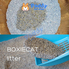 Cát Vệ Sinh BoxieCat USA Sỏi Mịn Tự Nhiên Siêu Khử Mùi Cho Mèo 16L - Paddy Pet Shop