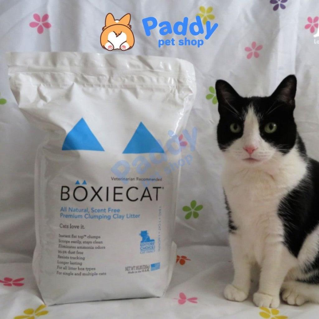 Cát Vệ Sinh BoxieCat USA Sỏi Mịn Tự Nhiên Siêu Khử Mùi Cho Mèo 16L - Paddy Pet Shop