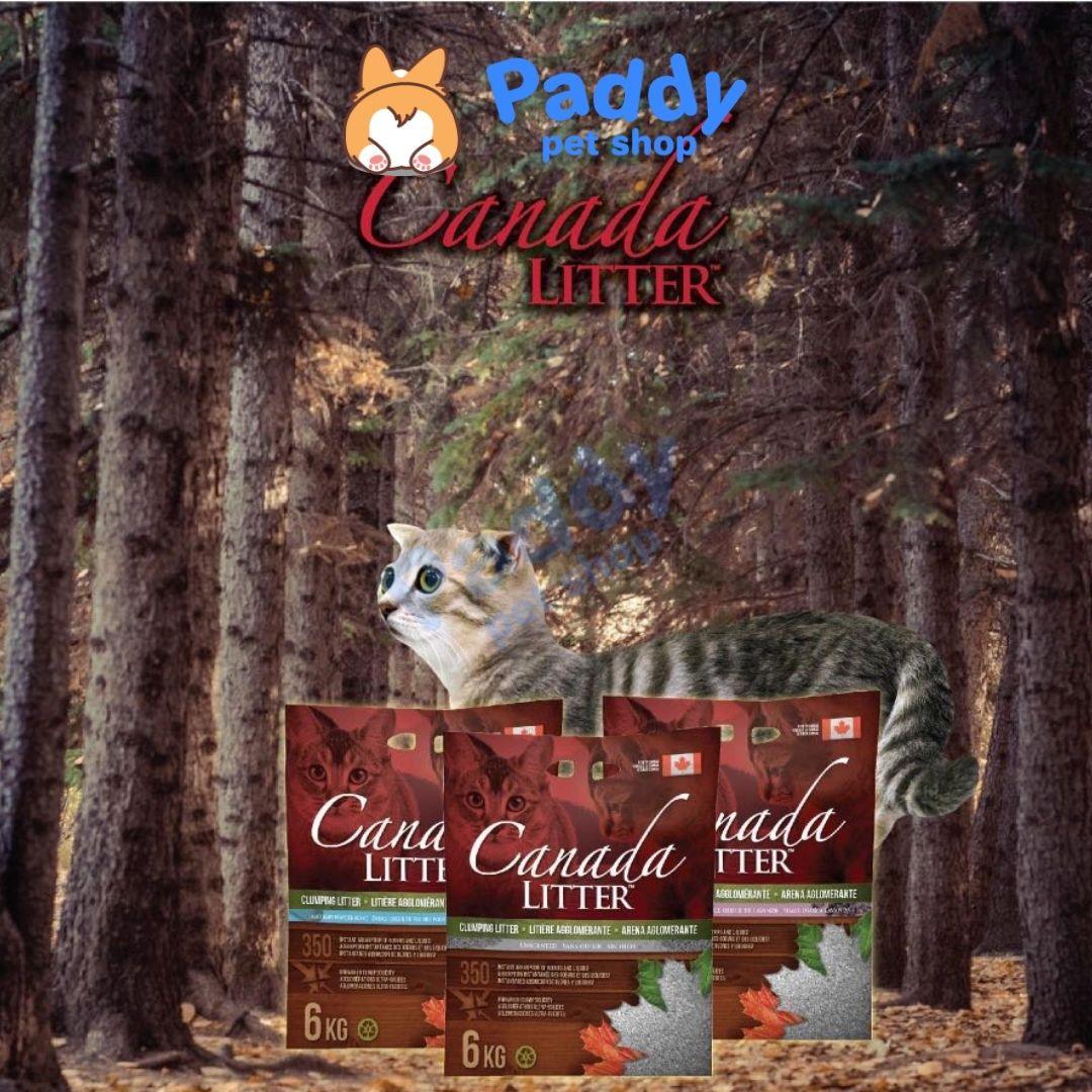 Cát Vệ Sinh Canada Litter Cao Cấp Cho Mèo - Paddy Pet Shop