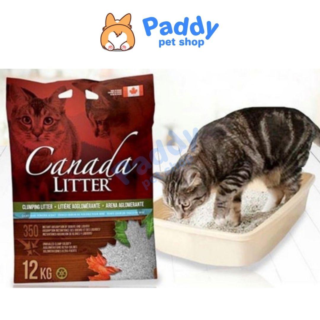 Cát Vệ Sinh Canada Litter Cao Cấp Cho Mèo - Paddy Pet Shop