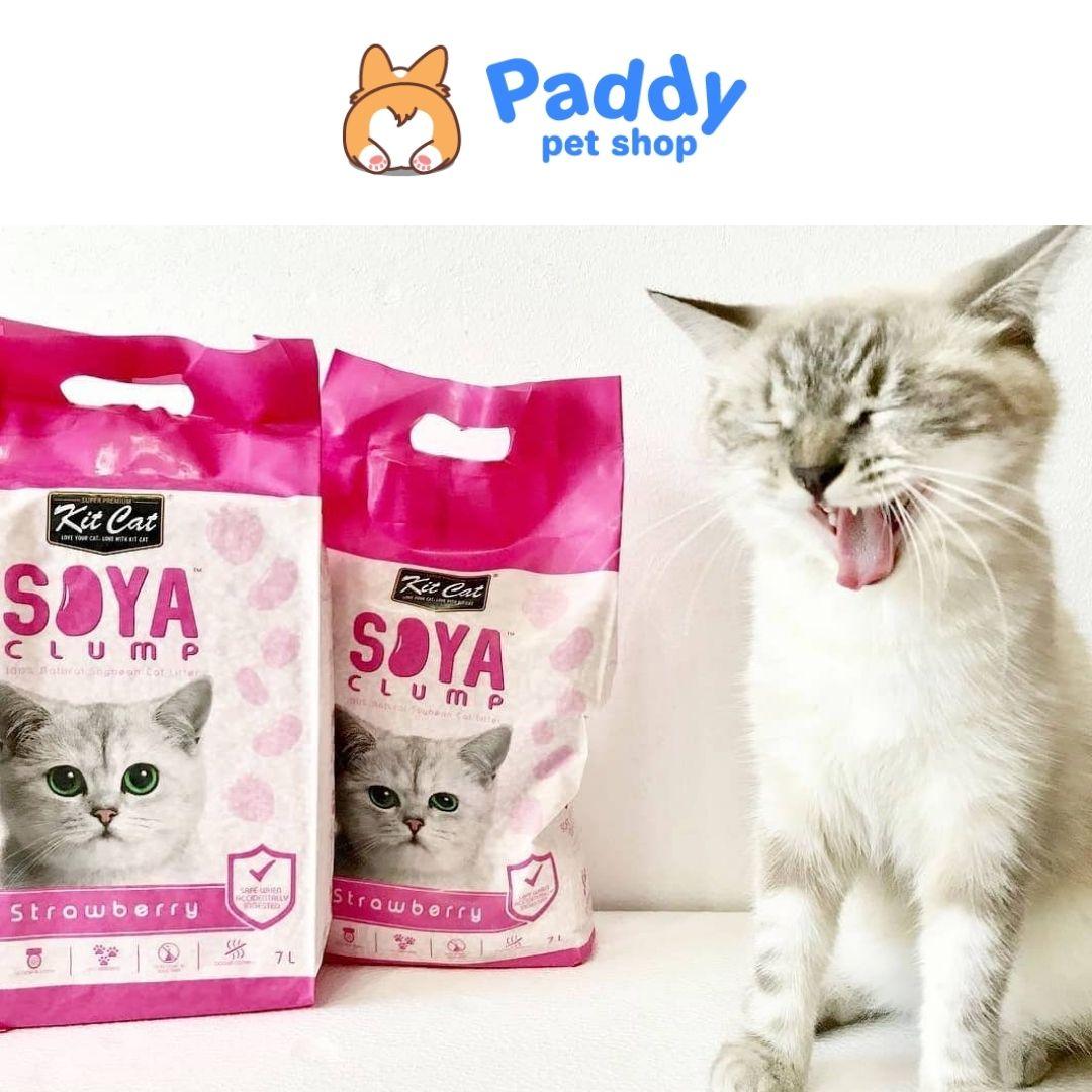 Cát Vệ Sinh Đậu Nành Kit Cat Soya Clump Cho Mèo (7L) - Paddy Pet Shop