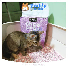 Cát Vệ Sinh Đậu Tuyết Kit Cat Snow Peas Cho Mèo (7L) - Paddy Pet Shop