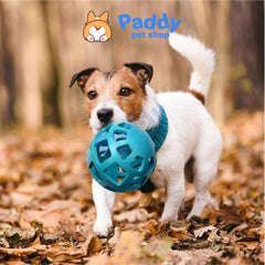 Cầu Mây Cao Su Tpet Đồ Chơi Cho Chó Nhai Gặm - Paddy Pet Shop