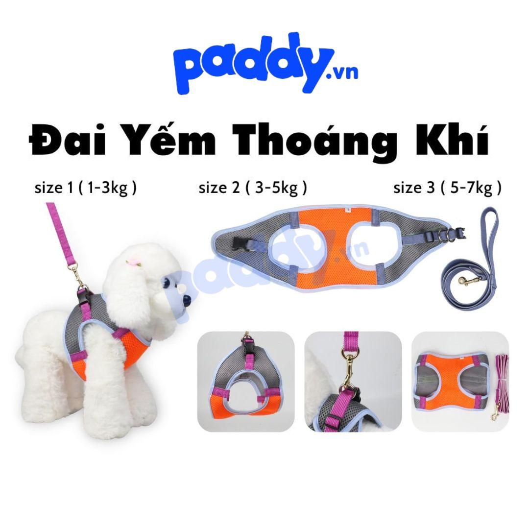 Dây Dắt Yếm Thoáng Khí Diamond Cho Chó Mèo