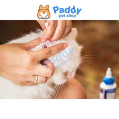 Dung Dịch Trị Viêm Tai Chó Mèo Virbac Dexoryl 10g - Paddy Pet Shop