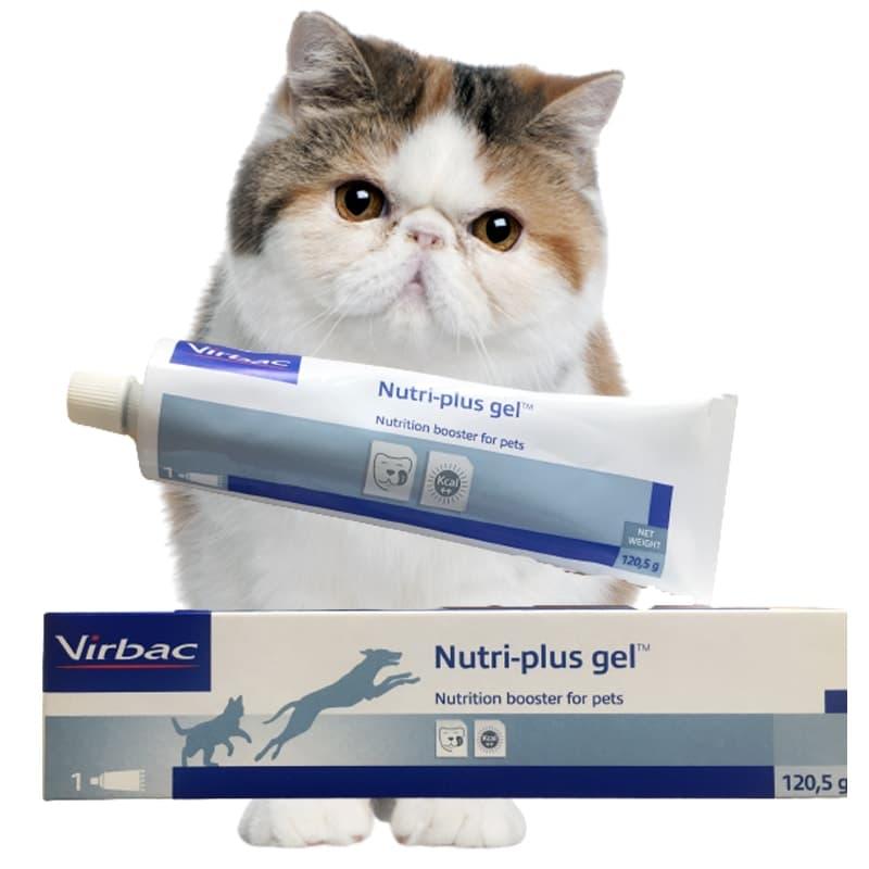 Gel Dinh Dưỡng Cho Chó Mèo Virbac Nutri-Plus 120g - Paddy Pet Shop