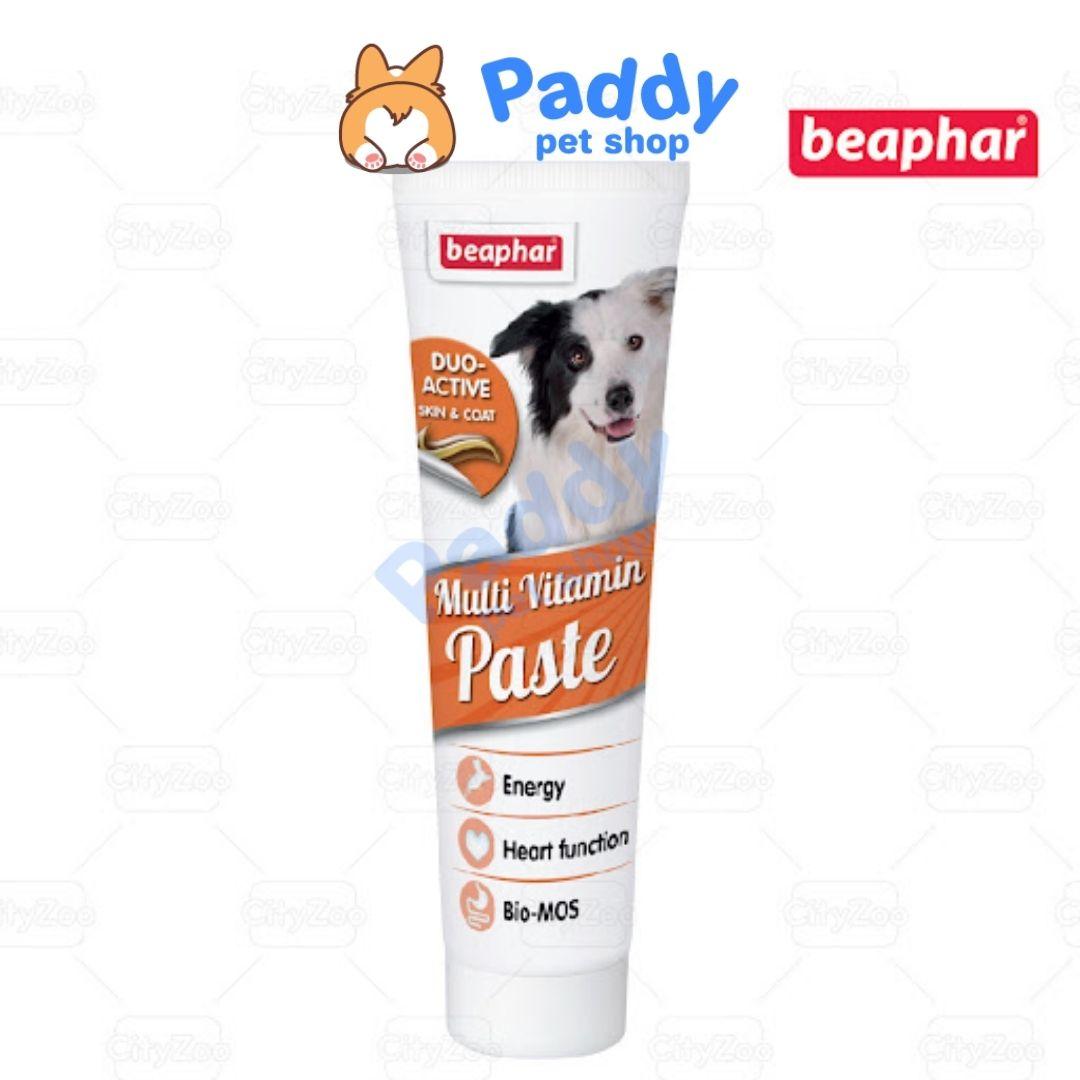 Gel Dinh Dưỡng Vitamin Beaphar Dog Cho Chó 100g (Hà Lan) - Paddy Pet Shop