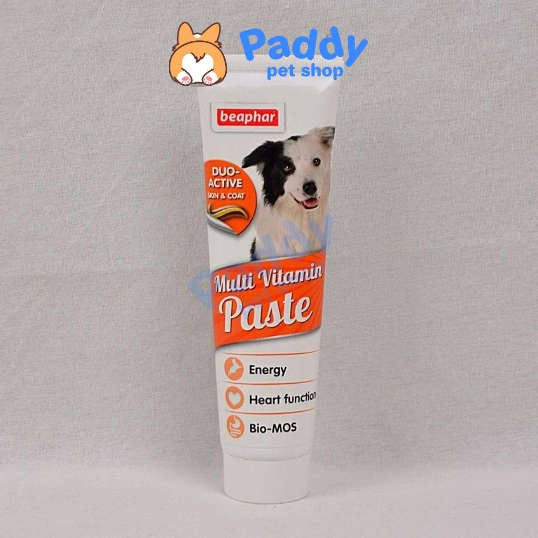 Gel Dinh Dưỡng Vitamin Beaphar Dog Cho Chó 100g (Hà Lan) - Paddy Pet Shop