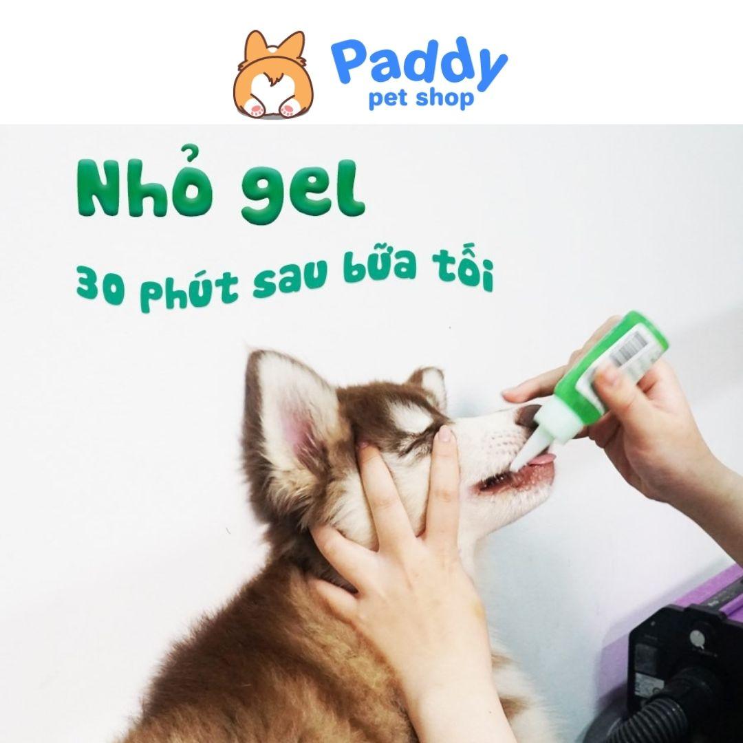 Gel Vệ Sinh Răng Miệng Cho Chó Tropiclean (Size mini 14.8ml) - Paddy Pet Shop