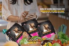 Hạt Ganador Adult Cho Chó Trưởng Thành Vị Cá Hồi & Gạo - Paddy Pet Shop